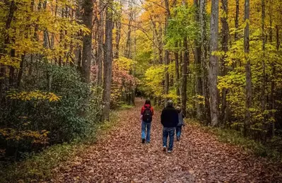 family hiking the Little River Trail in autumn