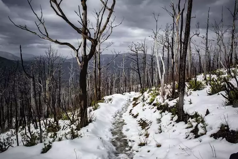 hiking trail in the Smoky Mountains with snow