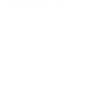 TC_tripadvisor